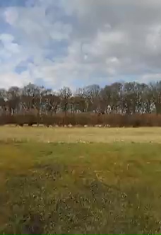 Aero-Club_Bad_Oldesloe_März Vorschau