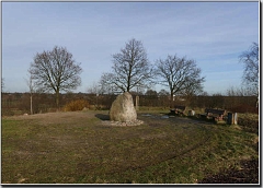 Am_Bornberg