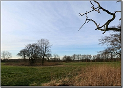 Wiese_bei_Lasbek_01