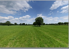 Wiese_bei_Schiphorst_03