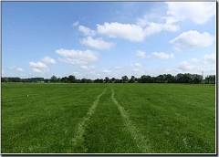 Wiese_bei_Schiphorst_04